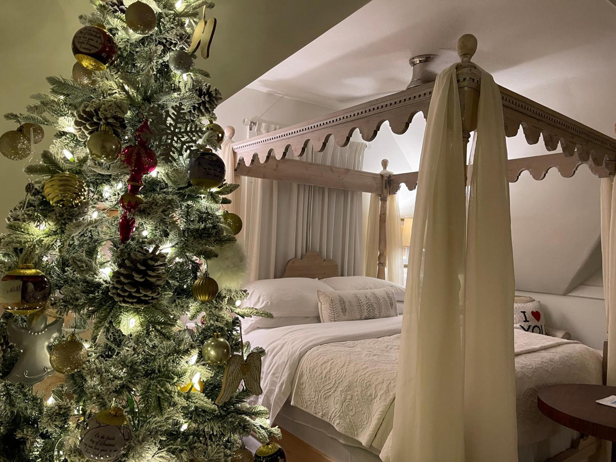 Chesnut Cottage Inn Bed & Breakfast Columbia Esterno foto